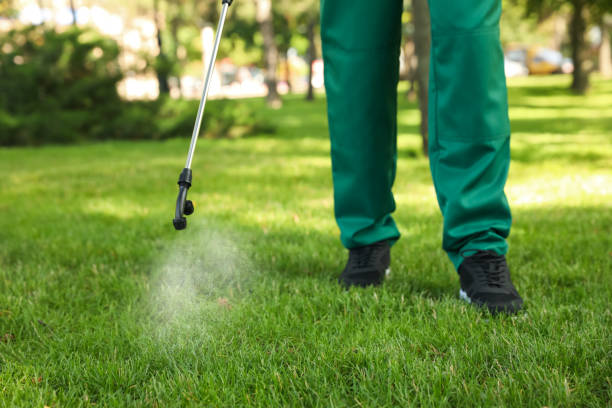Trusted Creedmoor, NC Pest Control Experts